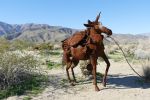 PICTURES/Borrego Springs Sculptures - People of the Desert/t_P1000423.JPG